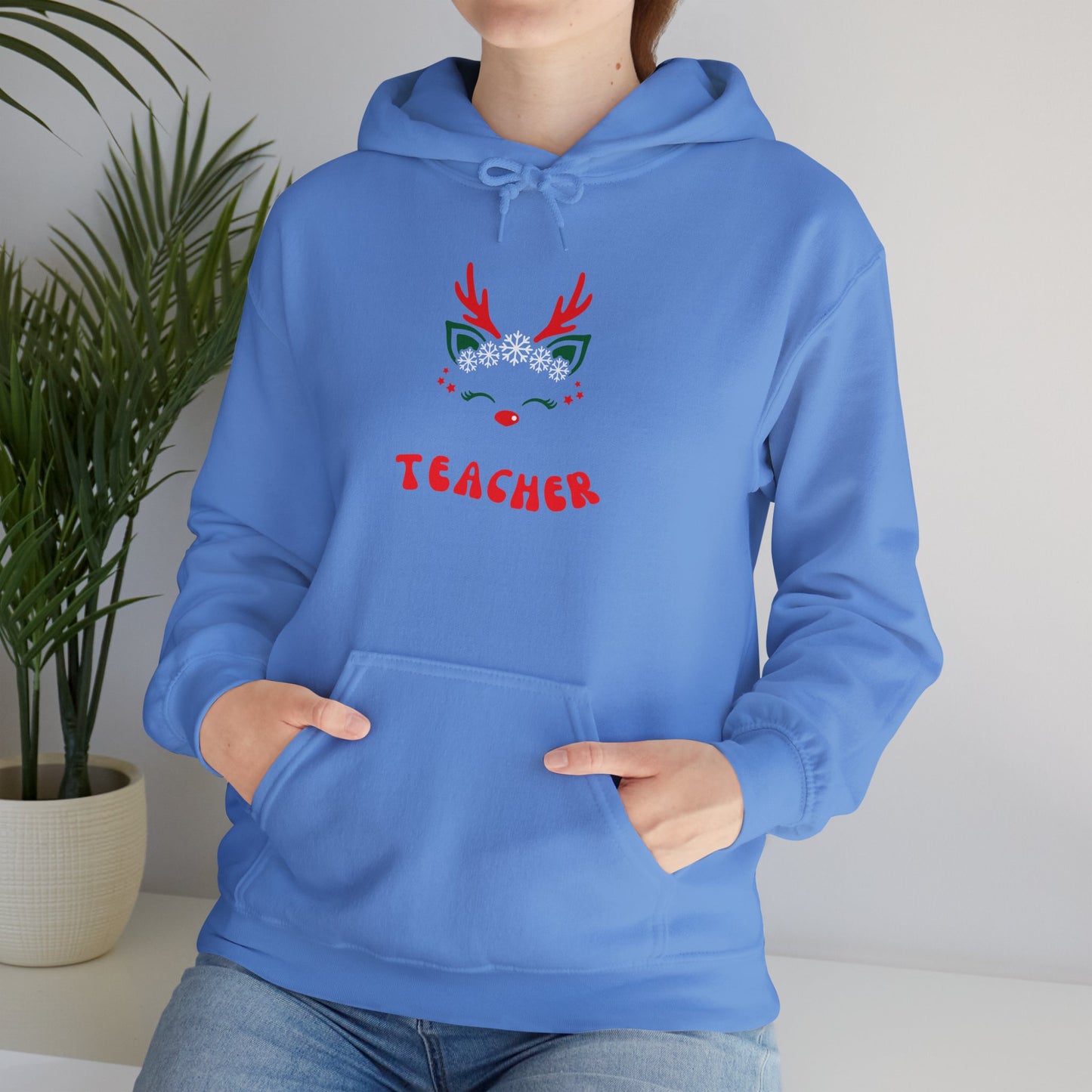 Festive Teacher Hooded Sweatshirt