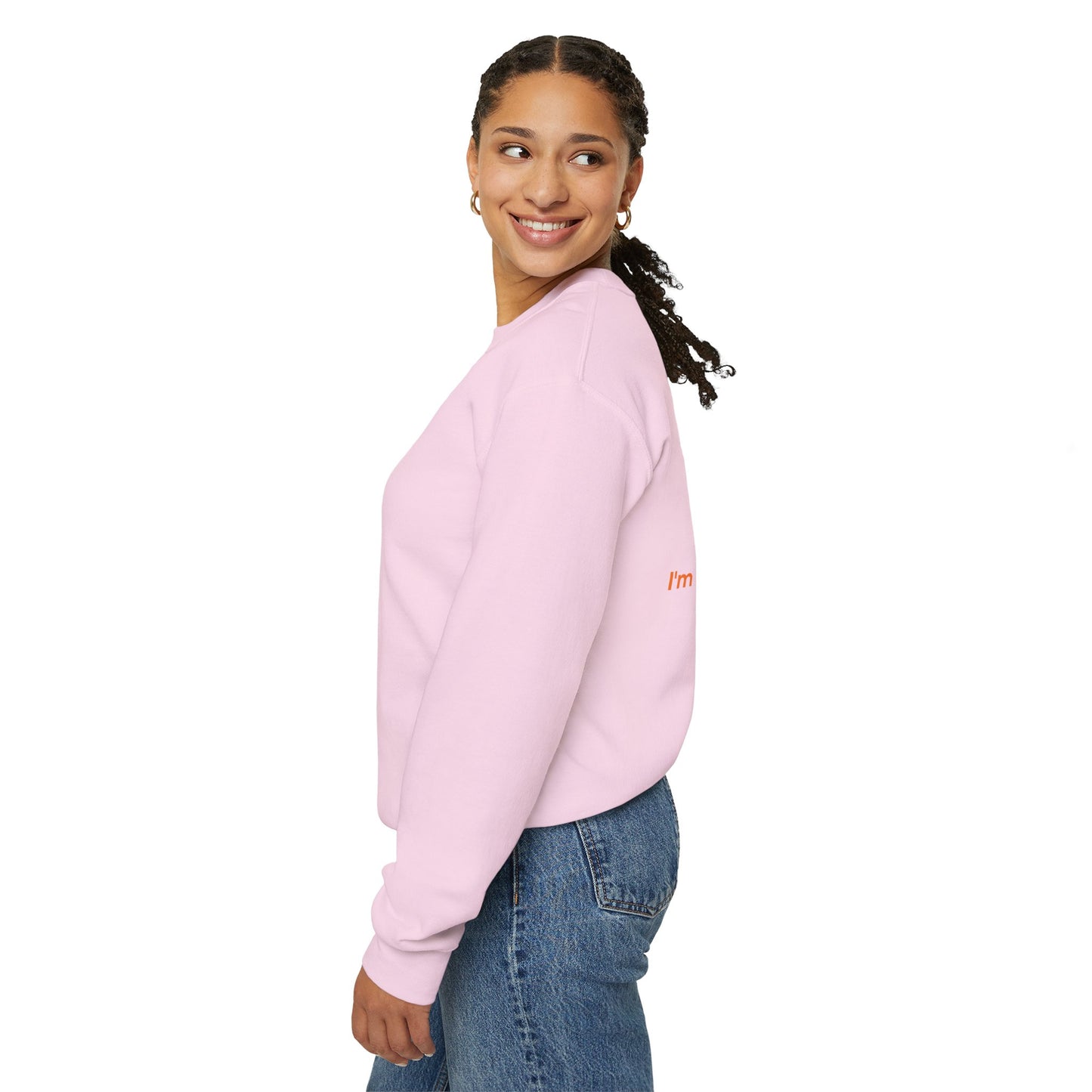 I'm a mind architect Sweatshirt