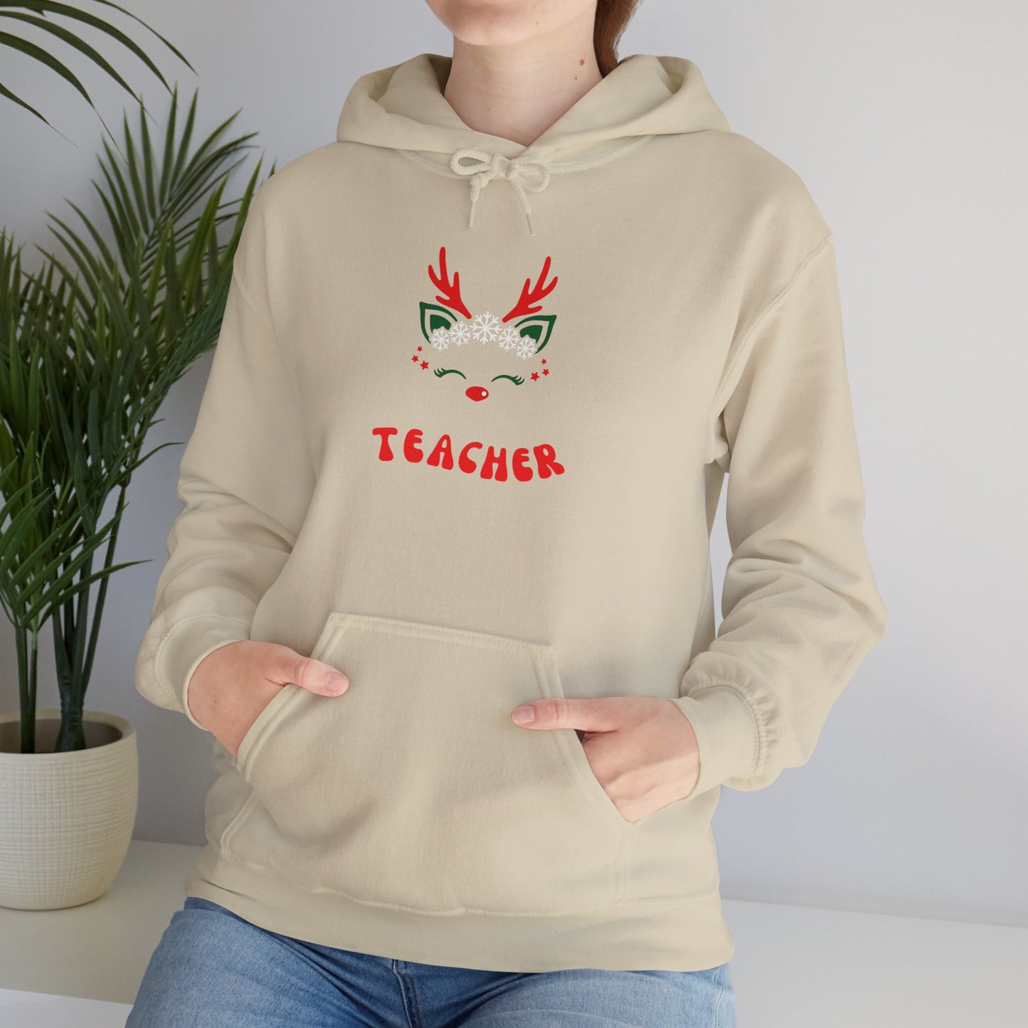 Festive Teacher Hooded Sweatshirt
